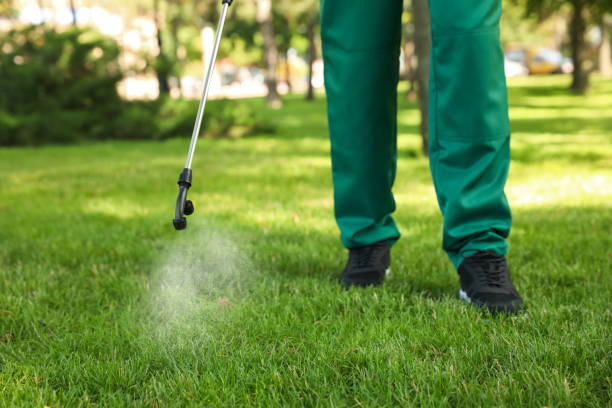 Reliable Glastonbury Center, CT Pest Control Solutions