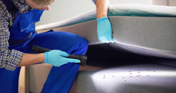 Best Flea Control Services  in Glastonbury Center, CT