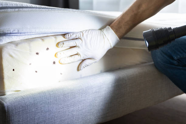 Best Emergency Pest Control  in Glastonbury Center, CT