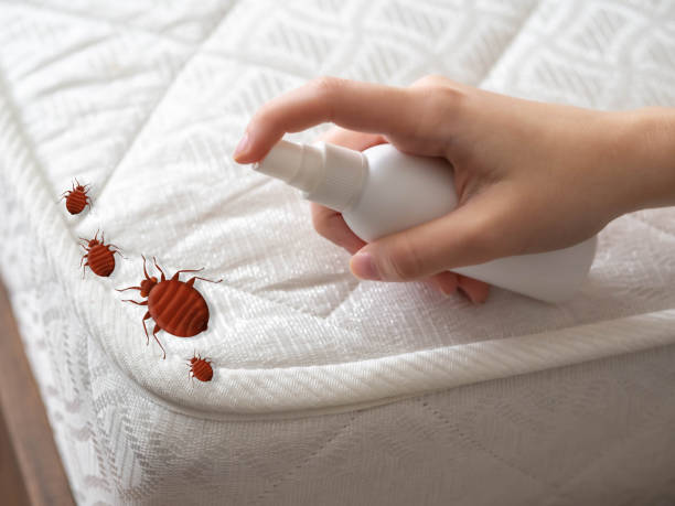 Best Residential Pest Control  in Glastonbury Center, CT