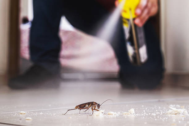 Best Mosquito Control Services  in Glastonbury Center, CT